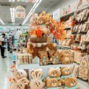 다이소 부산서면점 이미지