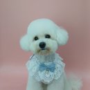 슈멍드아 이미지