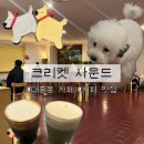 귀여운 강아지 | 크리켓 사운드 :: 대전 대흥동 커피 맛집 • 귀여운 강아지가 있는 카페 / 내돈내산 솔직후기