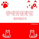 갈비도둑 무한리필 이미지