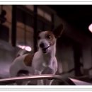 몽땅 펫샾 이미지