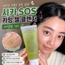 디어글램