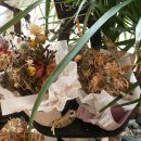 한아름기프트 이미지