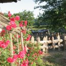 SK영월주유소 이미지