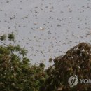 38PC 이미지