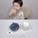 티움 - 고양시 덕양구 동송로 61 | 아기 블루베리 어린이 유아 아기간식 추천 프레시티움 GAP 친환경 블루베리 후기
