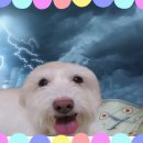 (주)천둥소리 이미지