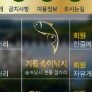 거일낚시터