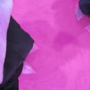 파 워 넷 | 노는 게 제일 좋을 나이 (분좋카와 시라트, 마인크래프트...)