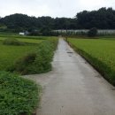 공인중개사사무소 진흥부동산 이미지