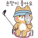 라라골프랜드 이미지