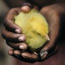 LOVING PET 이미지