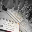 토탈 모델 테크닉 이미지