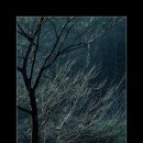 비타민노래클럽 - 서산시 읍내1로 35 | 비타민노래클럽