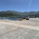 팽나무 펜션 | 거제 탑포해상콘도 / 해상펜션 / 팽나무펜션 간단후기