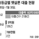 쌀쌀맞은 '햇살론(loan)' 이미지