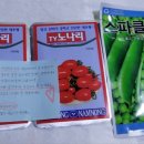 제일종묘사 이미지