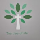 생명나무약국 이미지