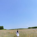 만발목장 이미지