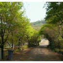 숲속연세유치원 이미지