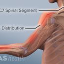 새롬의원 이미지