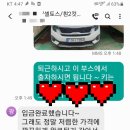 엘림덴트 이미지