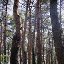 모노골샘터 이미지