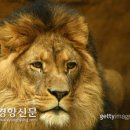 서울어린이대공원동물병원 이미지