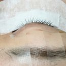 디바인스퀘어상가 | 일광속눈썹 잘하는곳 아이솜 연장 후기