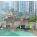 한들물빛 꿈나무 태권도 이미지