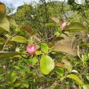 대한학원 이미지