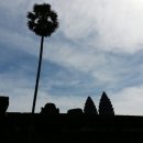 하나디톡 이미지