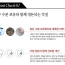 뷰티하네 이미지