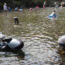 계곡가든민박 이미지