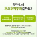이피부과 네이버블로그