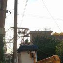 긴고랑로 이미지