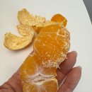 건이농장 이미지