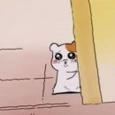 반가 우