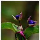 장산목장 이미지