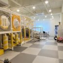 해오름 키즈 이미지