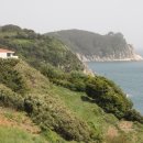 수원-0635 이미지