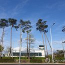 울산공항 이미지