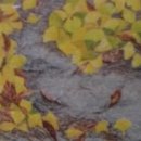 성북동자치회관 이미지