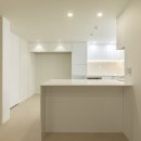 살구골서광·성지·동아·진덕 이미지