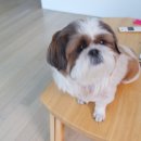 아름민박 이미지