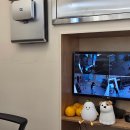 포근하개 이미지