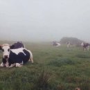 최신영화 외계인 이미지