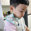 데이즈제이 | 제이데이즈 자동 제면기 솔직후기! 아기 면 만들기 도전