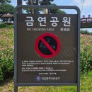 대전 유성구, 다양한 봄꽃들의 향연.. 제5회 유성봄꽃전시회에 다녀온 후기(주차, 이용정보 등)