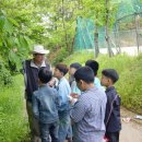 상무초교 이미지